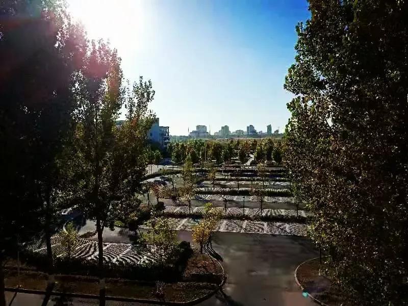 天津市独立院校（四）天津财经大学珠江学院