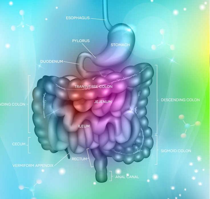 高原胃肠道不适巧应对