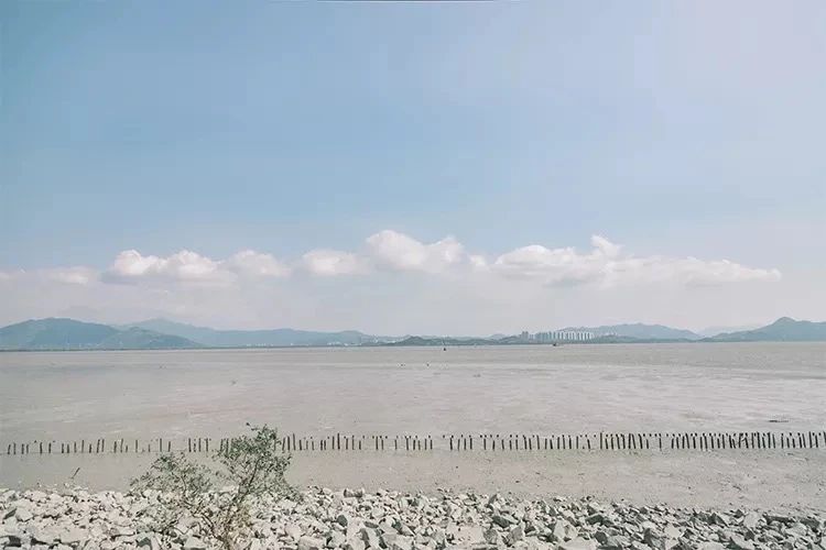 深圳看海去哪里比较好,深圳出地铁就看海的地方是哪里