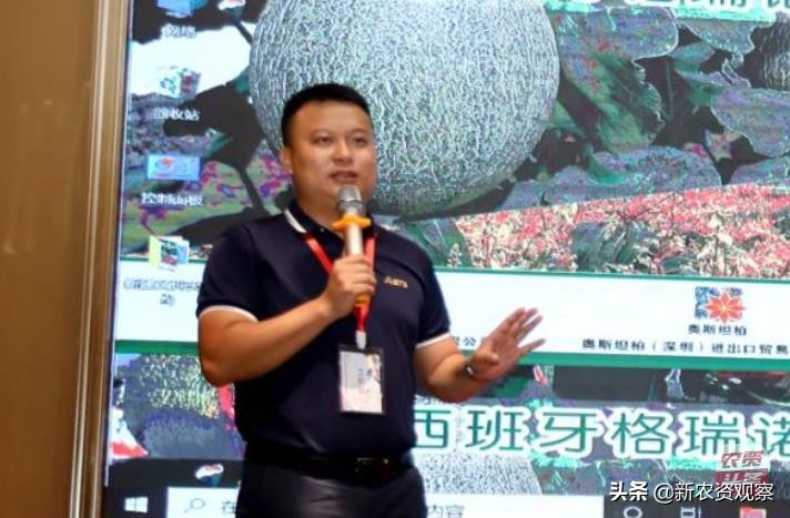 海南反季节芒果催花为何会催出芽,芒果催花后冒浆是花还是芽