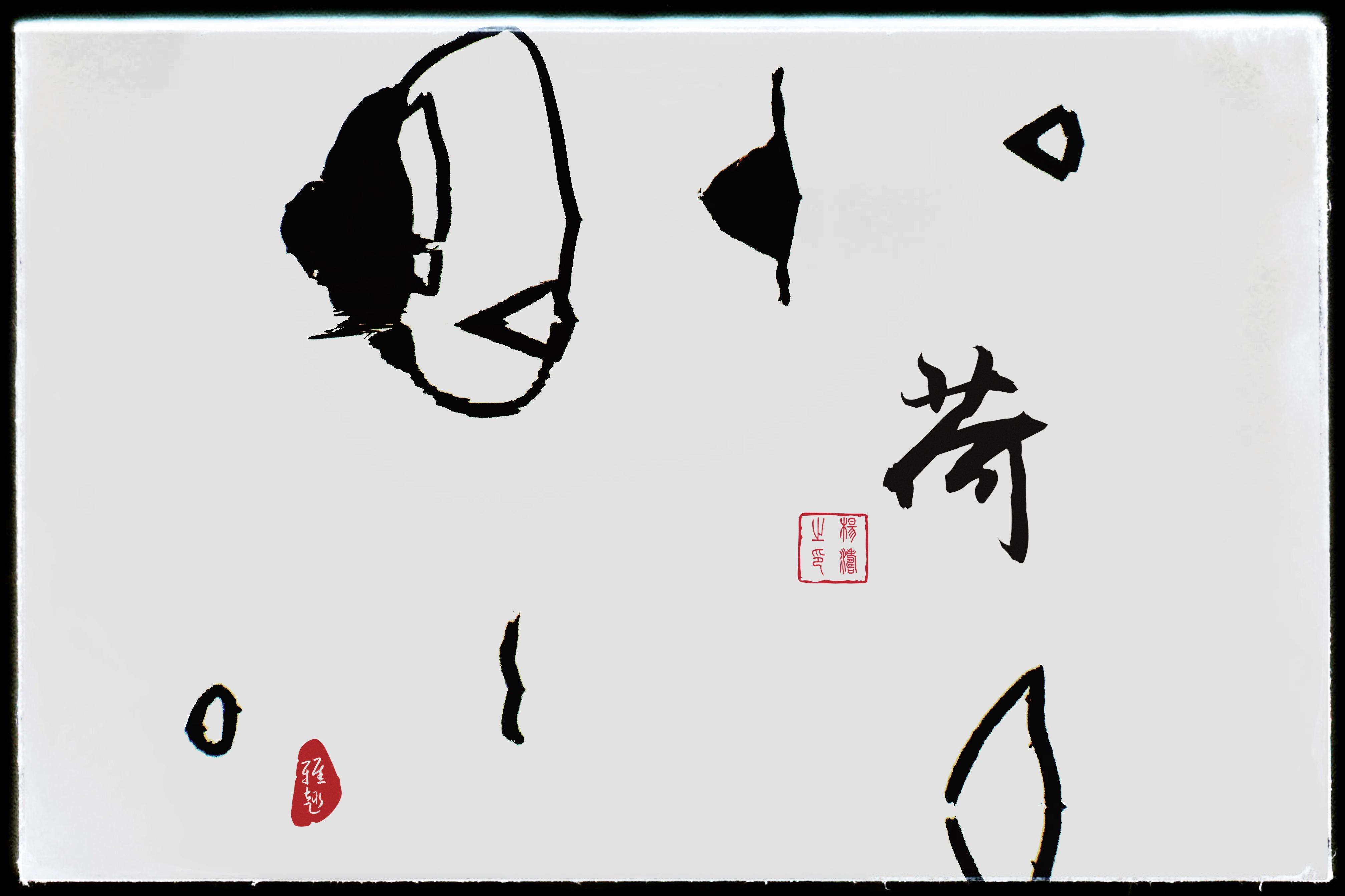 拍照教程教你如何拍出好看的照,教你4个技巧助你拍出光影美照