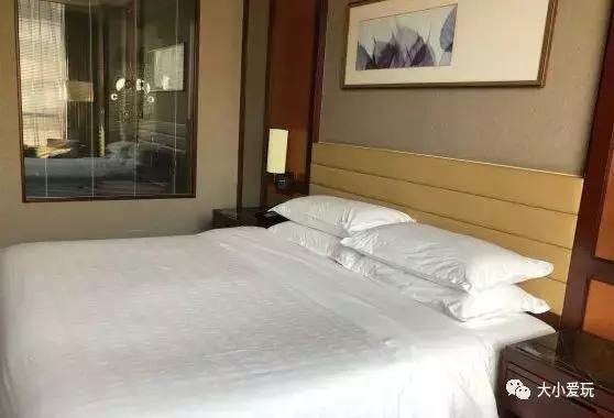 开放首日实探国家海洋博物馆，史上最抢手博物馆究竟长什么样