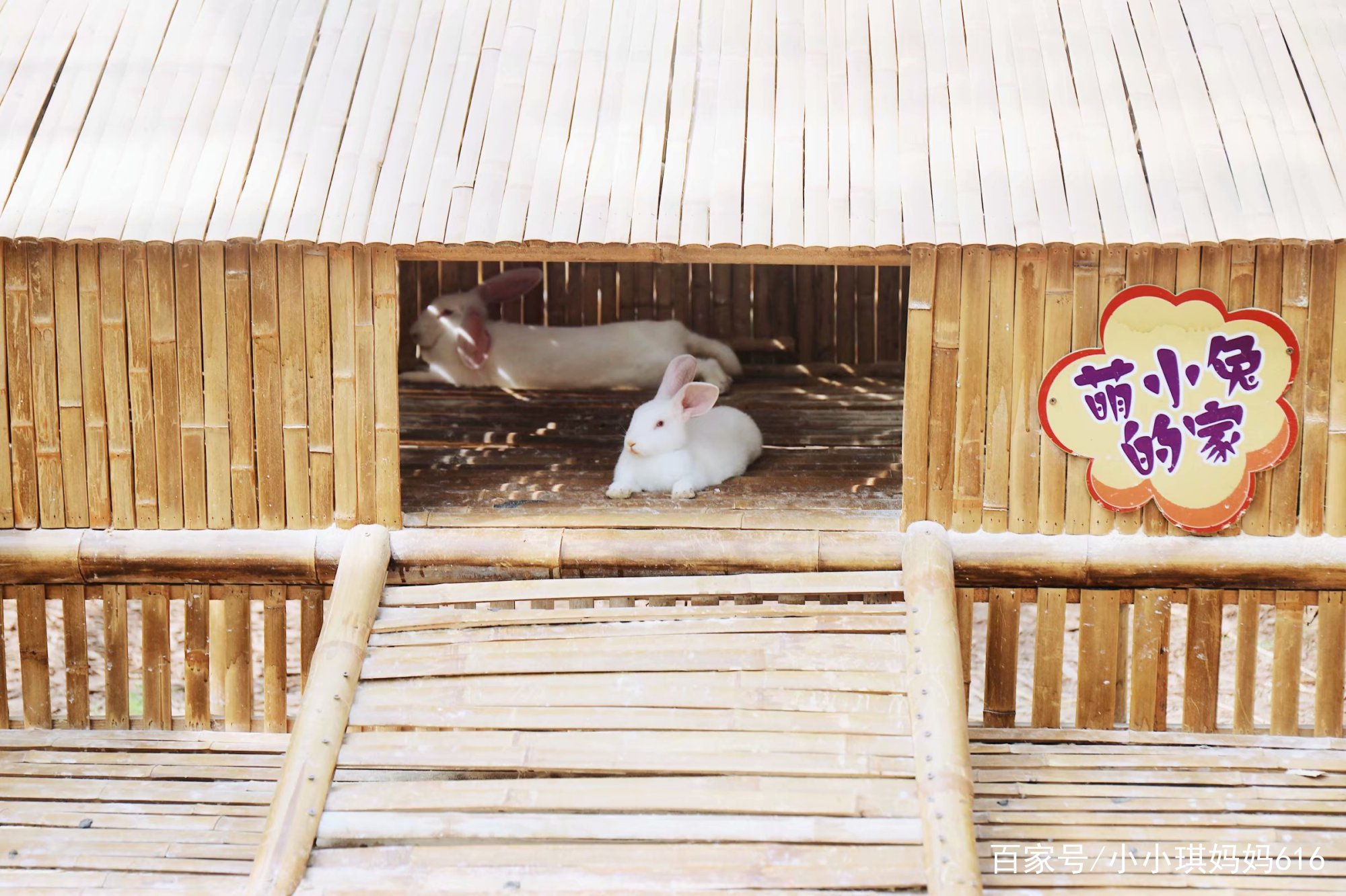 南京周边适合小众安静的旅行地,南京周边一天度假最好的地方