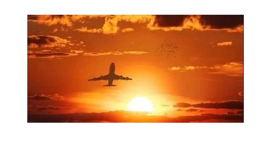 老板需要代账公司如何记账,老板让会计开发票谁承担责任