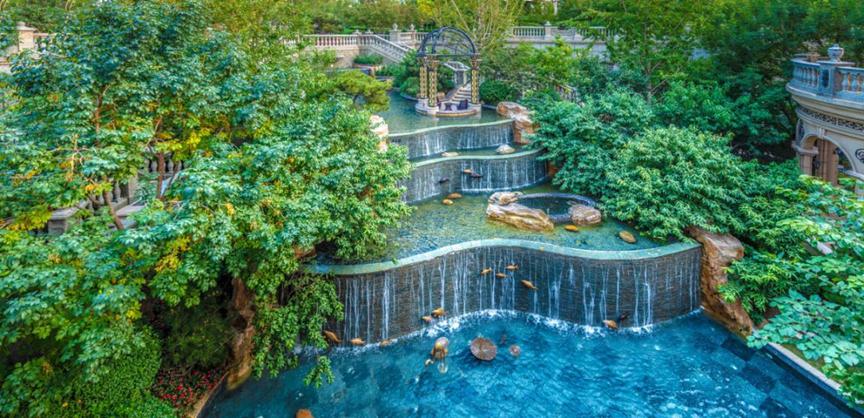 摄影师眼中的恒大有多美?春风十里在这里