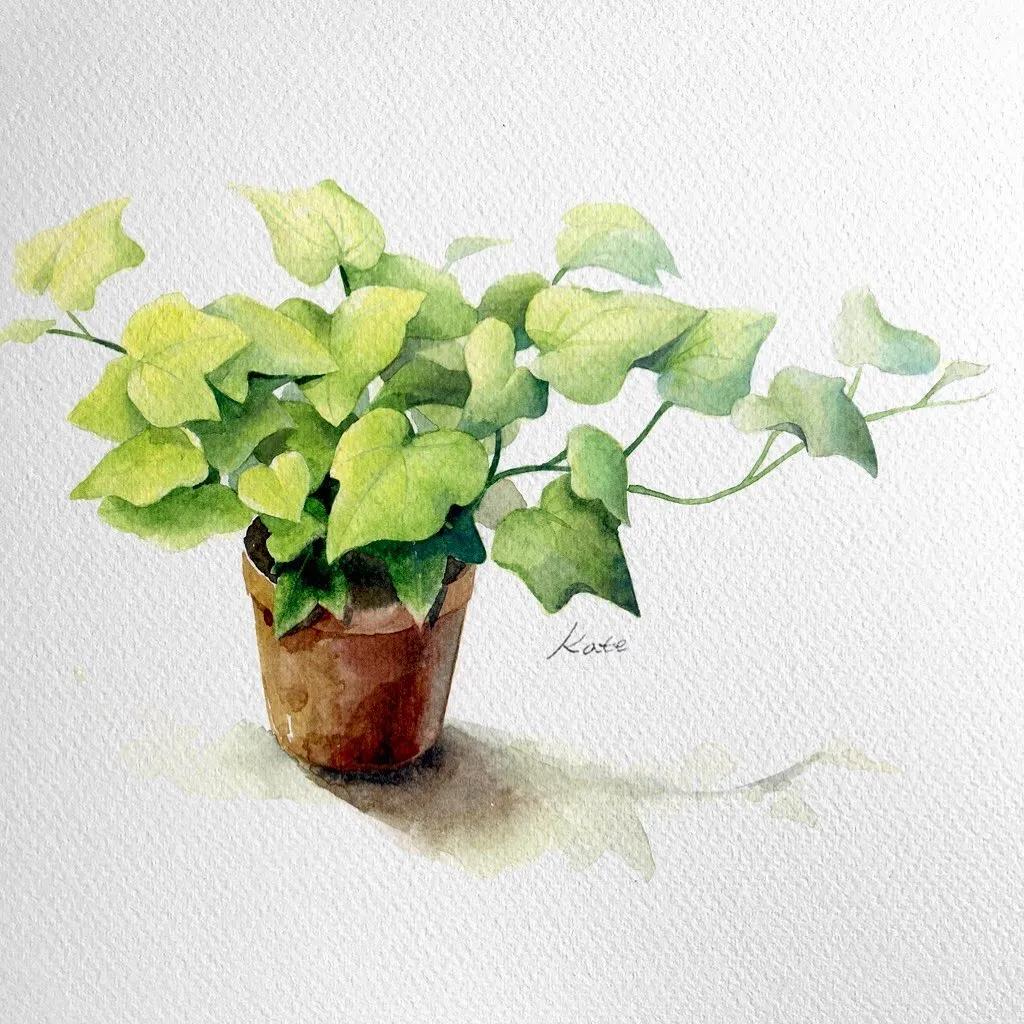 一分钟教你简单画花,简单的花卉图教程