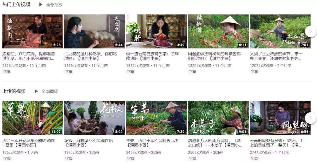 李子柒田园生活的魅力在哪里,当李子柒看到了不一样的田园生活