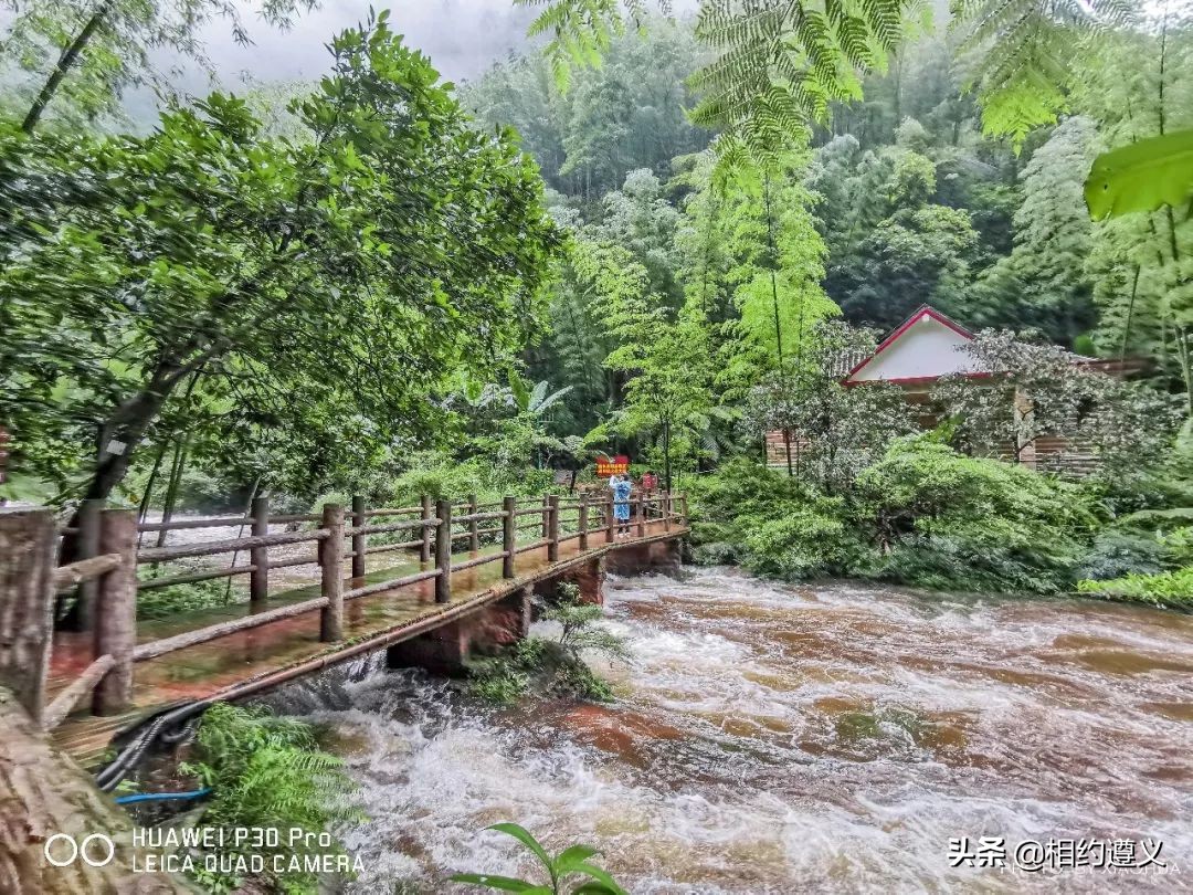 赤水大瀑布 侏罗纪公园 (世界唯一保留的侏罗纪原始公园)