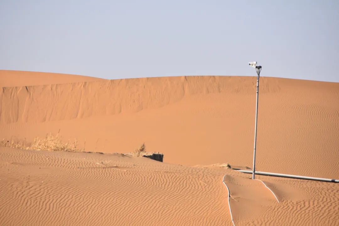 中国大沙漠的淘金客：*子骗**、教授与巨头