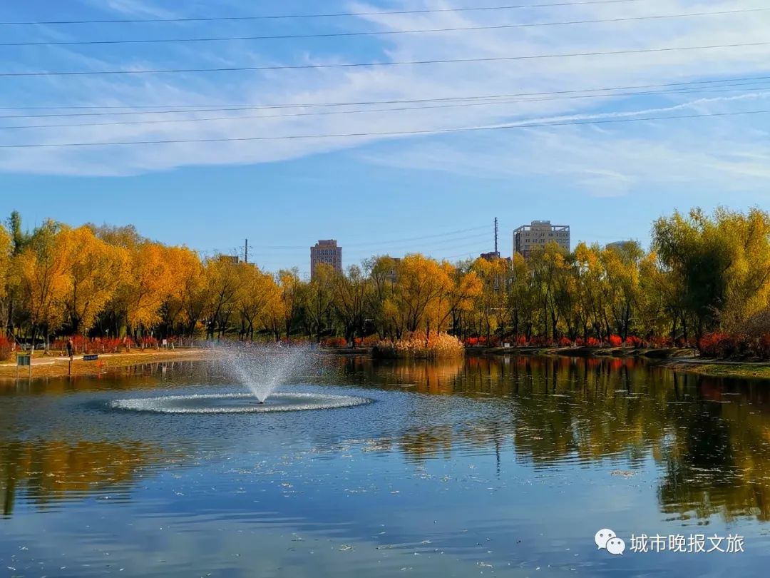 城晚拍拍丨秋色如画