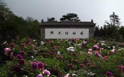 营口必游景点大全排名最新,营口市都有哪些旅游景点好玩