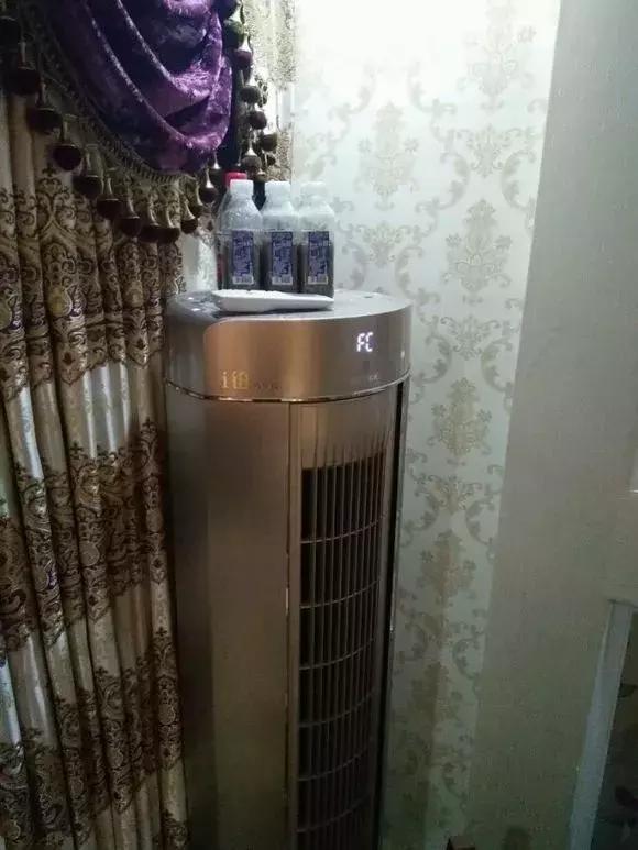 大水瓶扦插生根神器,室内用塑料瓶扦插生根最快方法