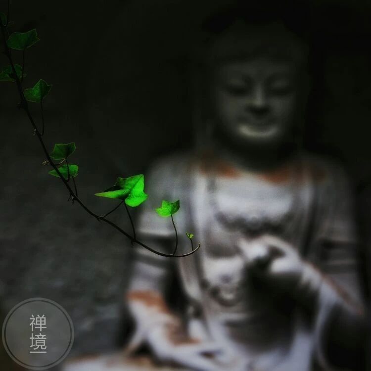 “越国敦煌”，1600多年的佛国洞天——新昌大佛寺