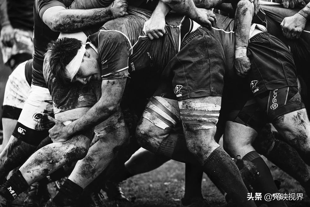 2022年度的ipa摄影大赛获奖作品,2020ippa摄影大赛奖项公布