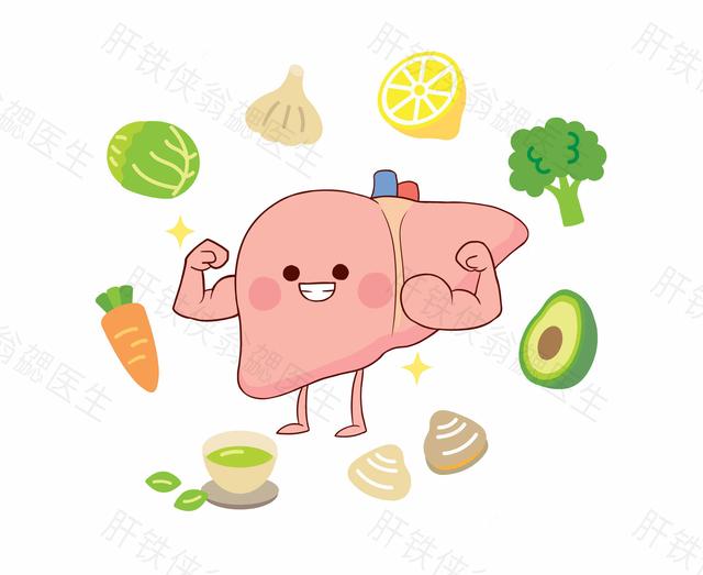 为什么胖子容易得脂肪肝,为什么有些胖子没有脂肪肝