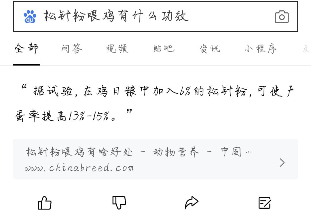 松针粉喂鸡的正确方法,干的松针可以磨粉喂鸡吗