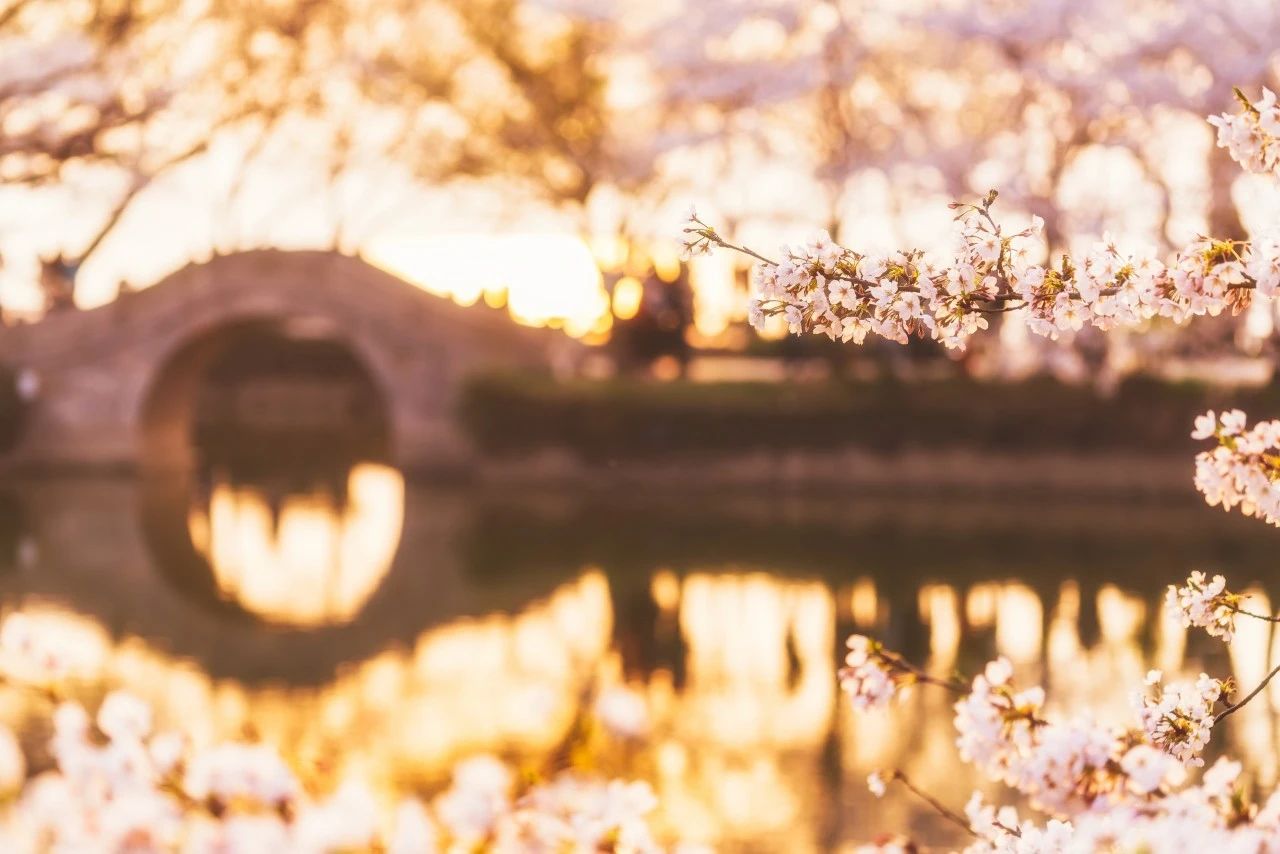 暮春来,暮春初夏的唯美诗词