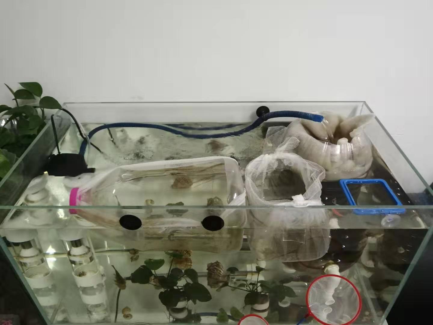 鱼便分离器制作方法,鱼便分离器详解