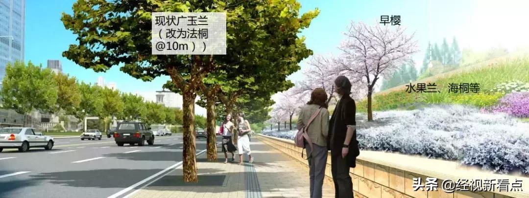 武汉最美环形公路,武汉最美大道之一高新大道