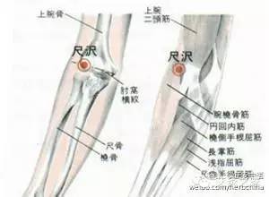 手上有个补肾穴|自己动手学经络