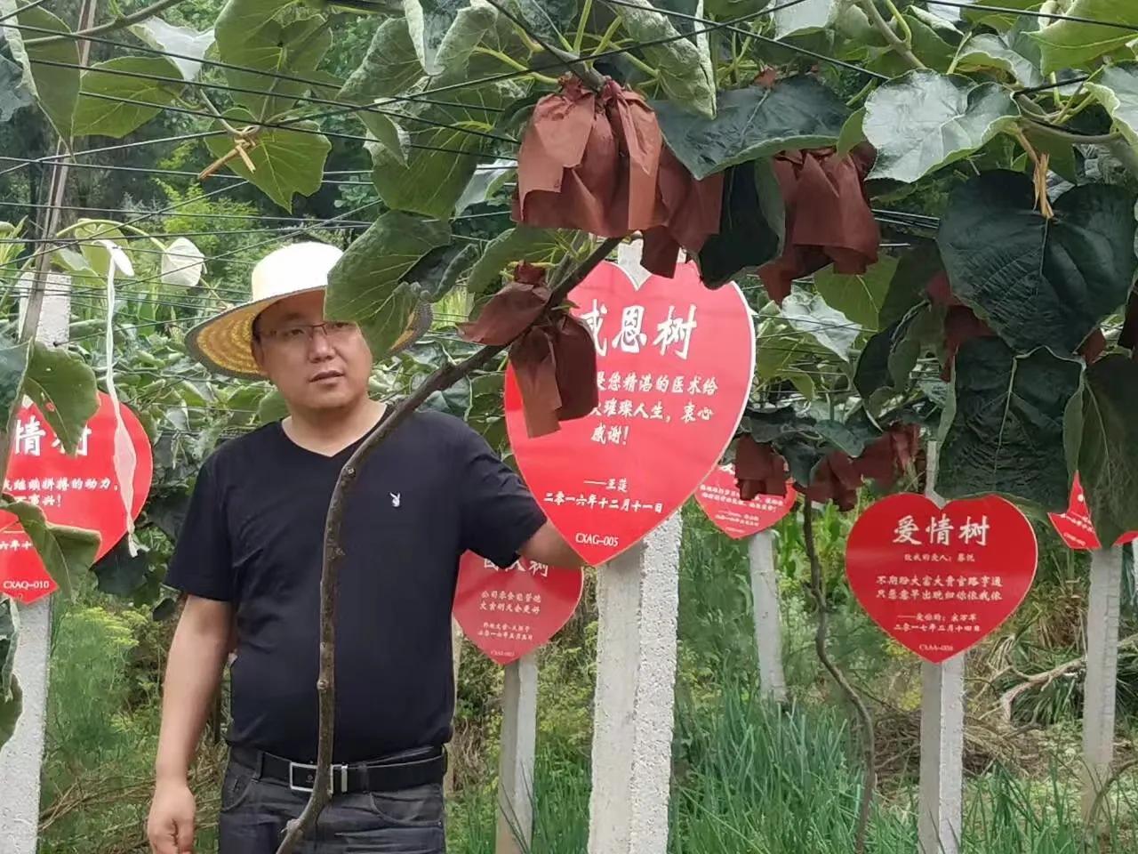 土地种植入股经营合作方案,土地流转种植致富项目