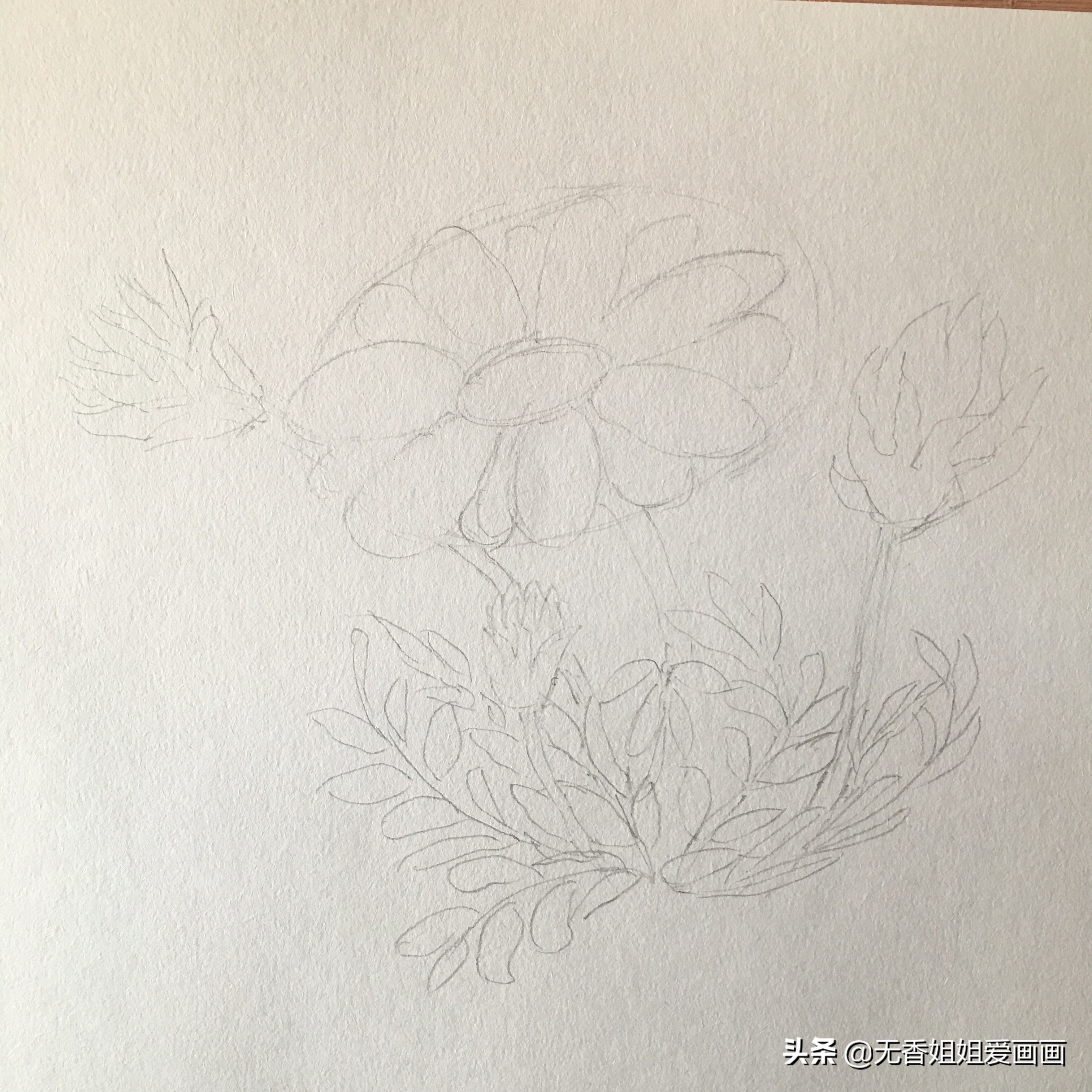 会画画真的是很开心的事情,会画画就要什么都画