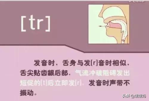 音标教学视频48个快速记忆法,英语48个音标发音教程视频