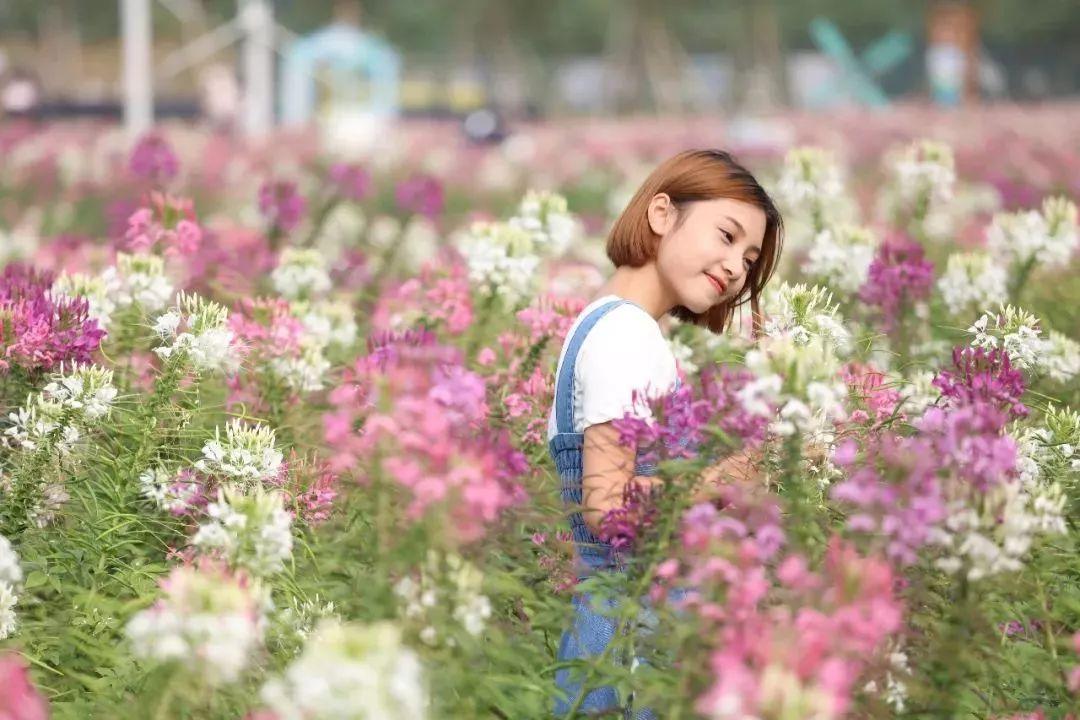 水上乐园超级大喇叭体验,挑战十大世界上最大的水上乐园