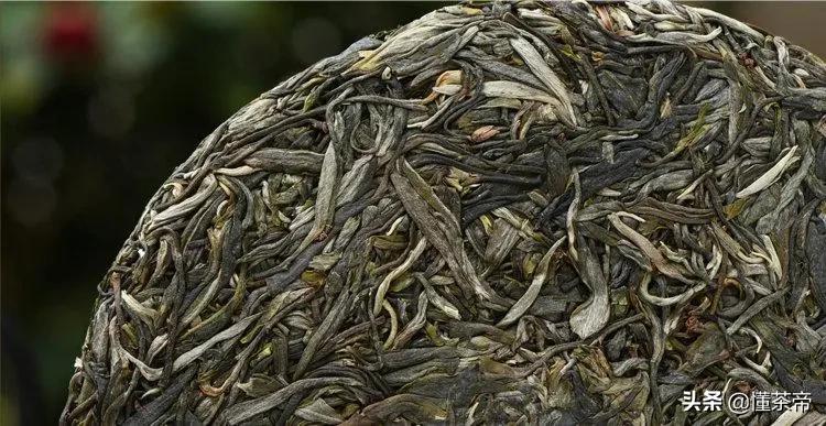 云南十大古树茶排名,云南的古树茶有哪些