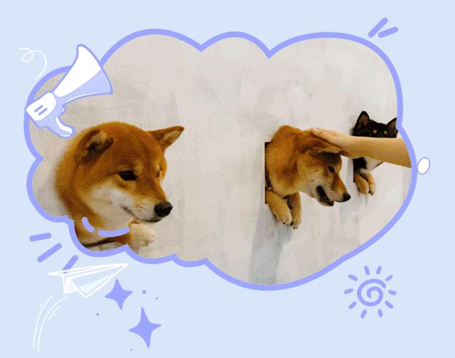 39.9元羊驼,羊驼门票抖音团购