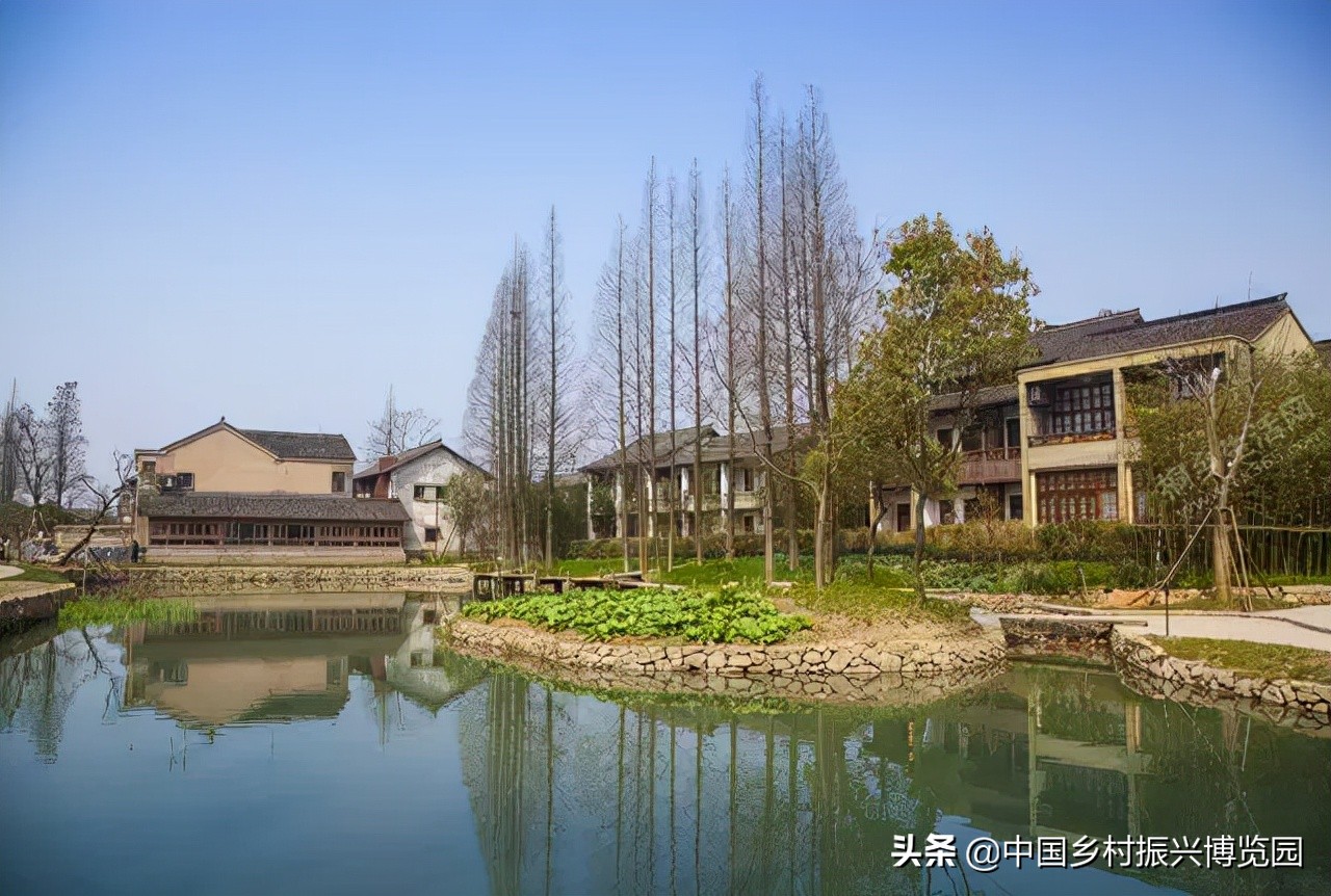 乡村振兴案例2021,乡村振兴案例2022