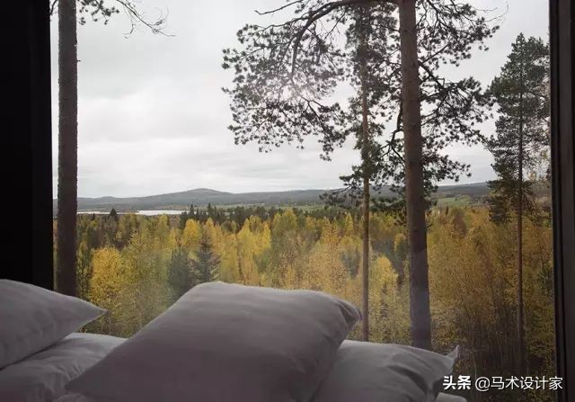 南通树屋酒店,森林树屋酒店