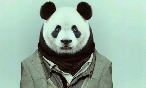 长期黑眼圈小心是这5种疾病,常有黑眼圈警惕四种病