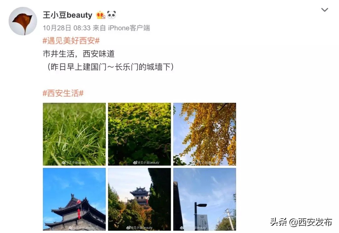 话题阅读量最多,话题阅读量破50