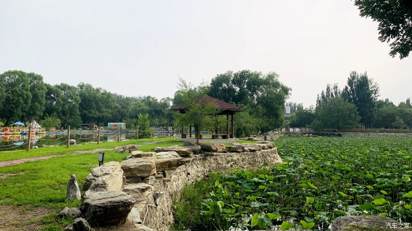 海淀区稻香湖景酒店,北京海淀稻香湖景酒店夜景