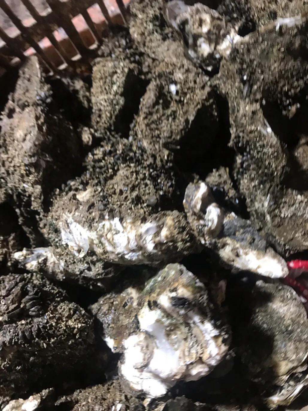 珠海斗门哪里海鲜便宜,吃货必去的海鲜城市