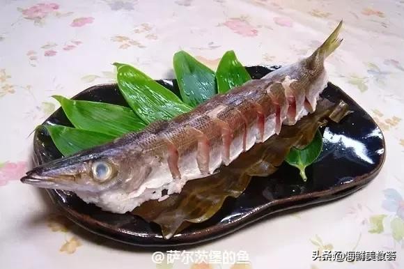 各种寿司纯鲜三文鱼刺身,日本传统寿司都用什么鱼