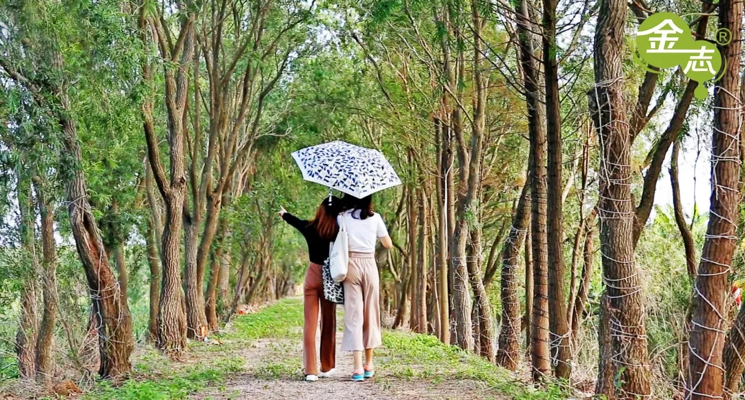 跨越20年的芦荟情谊