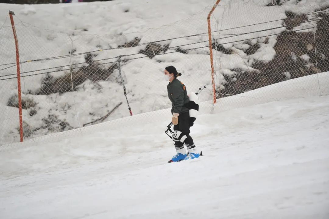 萌翻了原视频,萌翻了