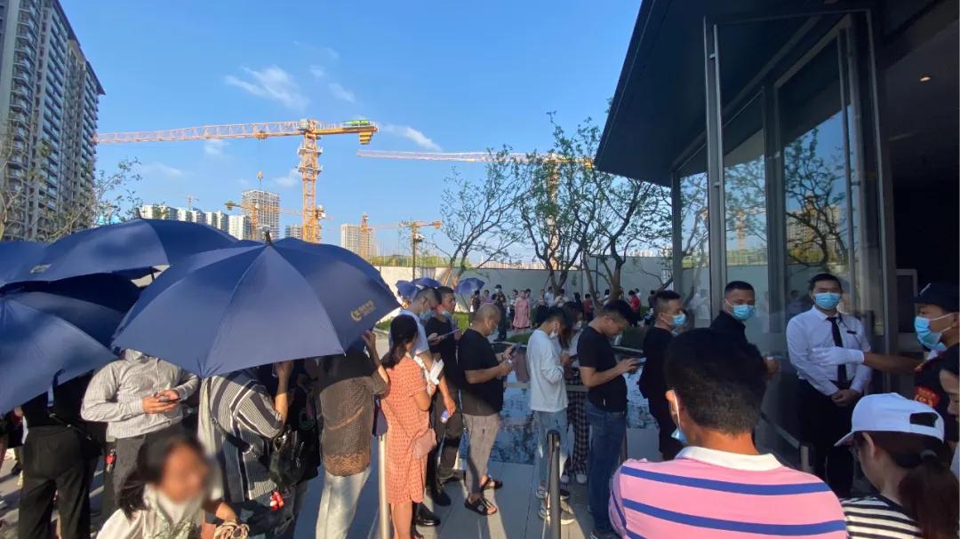 网签“三冠王”！总价120万起+绿城造，杭州湾新区再一次逆袭而来