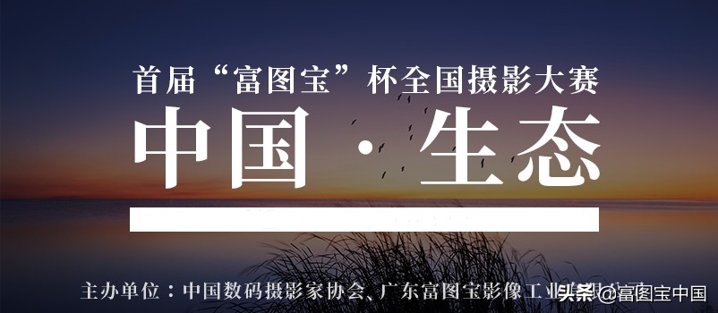 桃花怎么拍才好看,桃花怎么拍摄才能出新意