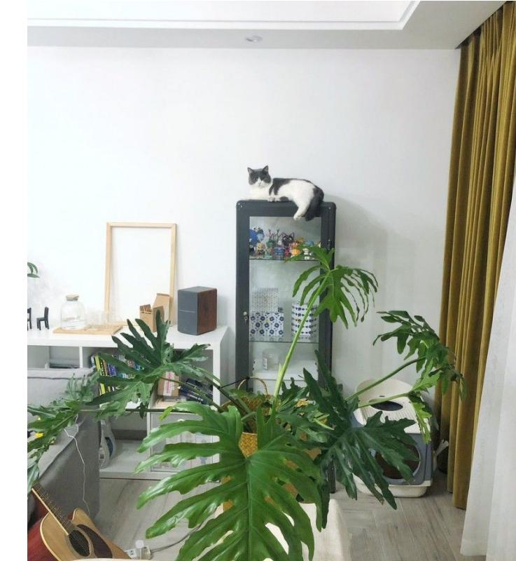 100㎡穷装，电器用旧的12万完装，入住3个月，小便池很方便