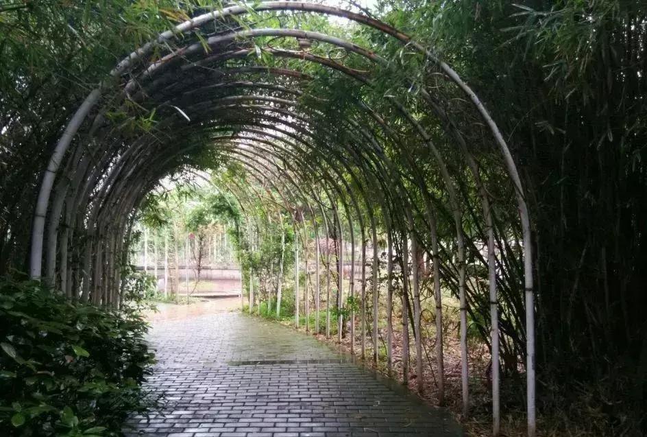 南昌至乐平怪石岭生态公园一日游,南昌附近一日游的景点有哪些