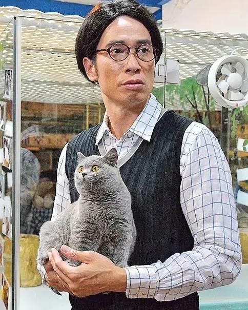 陈豪毒舌,陈豪49岁的生活