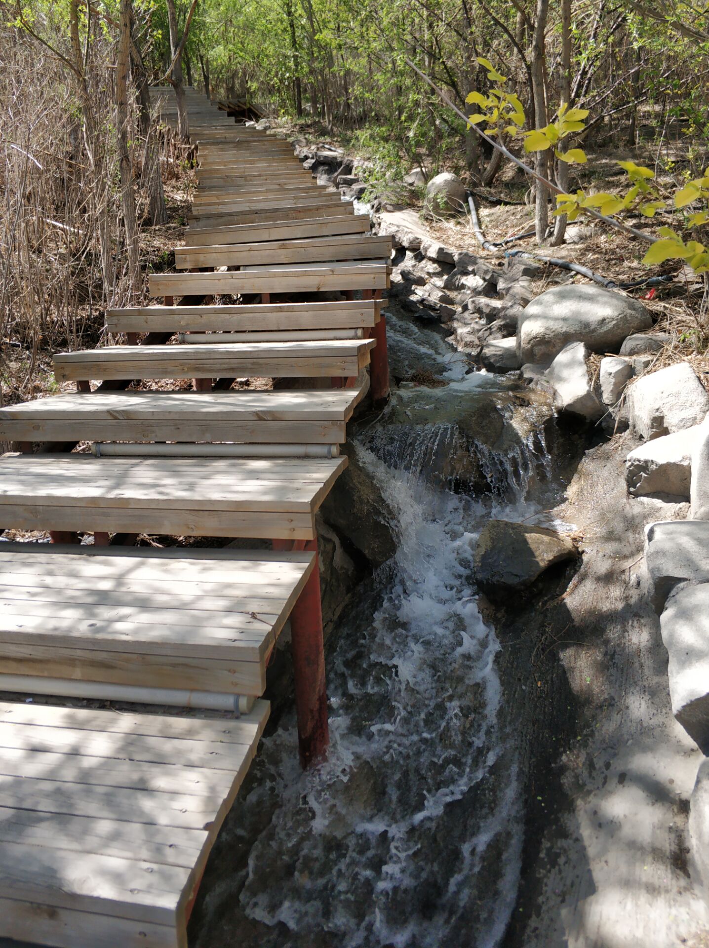 乌鲁木齐居然有这么漂亮的地方,乌鲁木齐周边森林公园在哪里