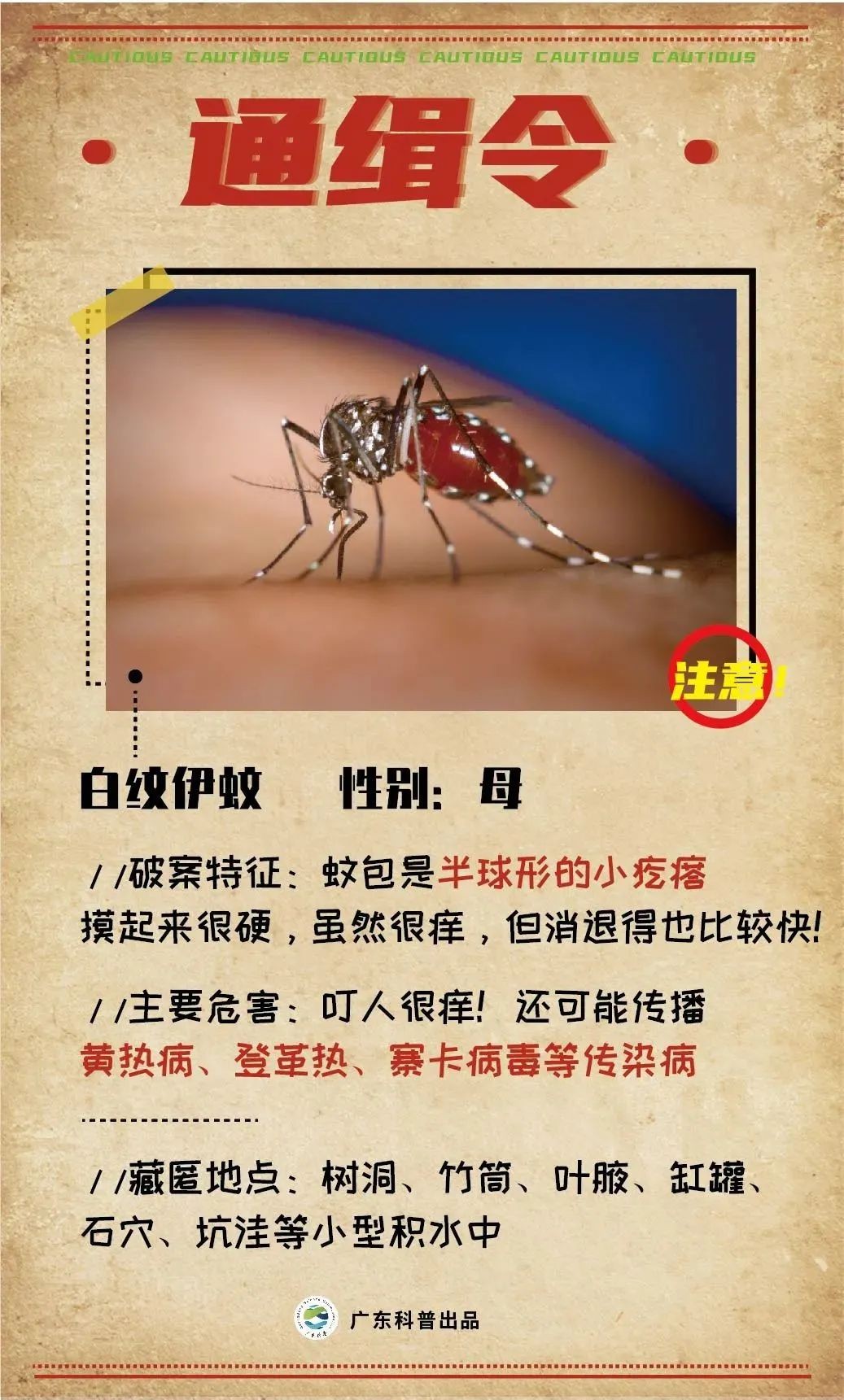 一年四季容易被蚊子咬是什么原因,被蚊子咬了正确打开方式