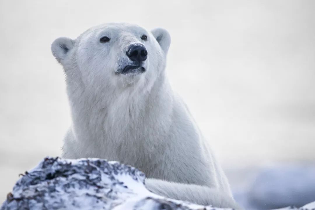 这场Dior杭州时装展，让我梦回2年前的加拿大