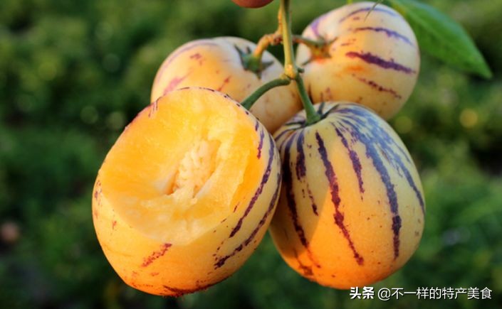 这些水果帮你增强抵抗力,多吃以下6种水果