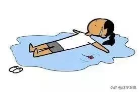 大型动物铲屎官,铲屎官为朕打下的江山猫咪