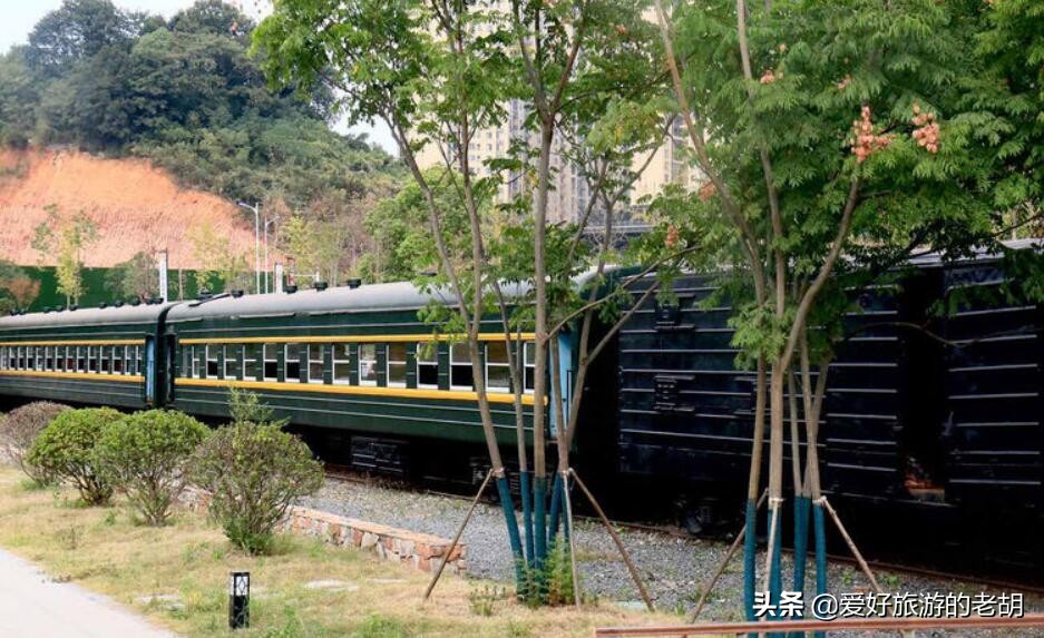 长沙拍照圣地森林公园,长沙一座很奇怪的城市